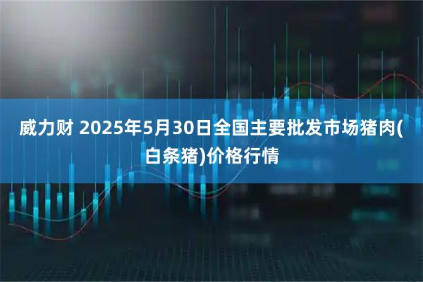 威力财 2025年5月30日全国主要批发市场猪肉(白条猪)价格行情