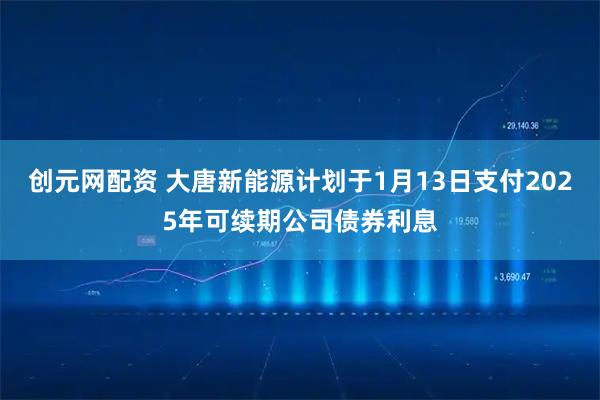 创元网配资 大唐新能源计划于1月13日支付2025年可续期公司债券利息