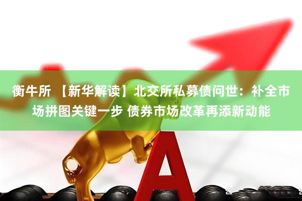 衡牛所 【新华解读】北交所私募债问世：补全市场拼图关键一步 债券市场改革再添新动能